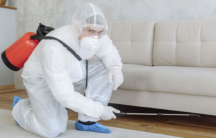 DEDETIZAÇÃO EM GERAL